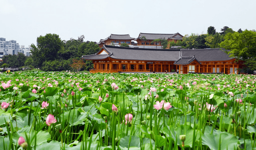전주 연꽃밭 한옥